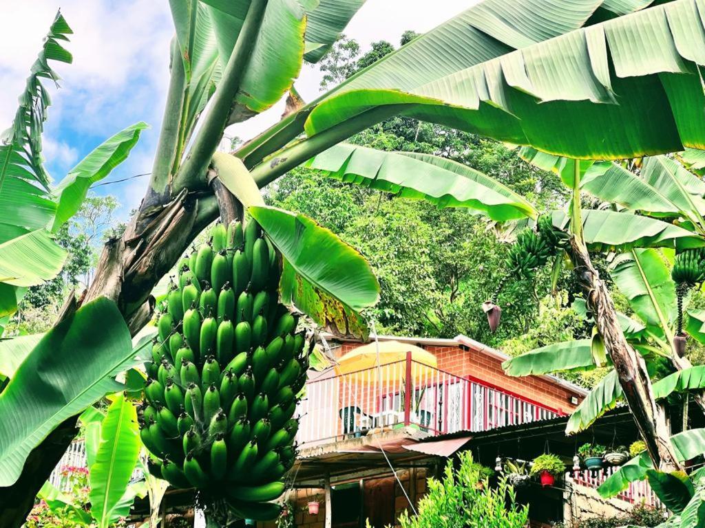 Posada Lu.Lu チョアチ エクステリア 写真